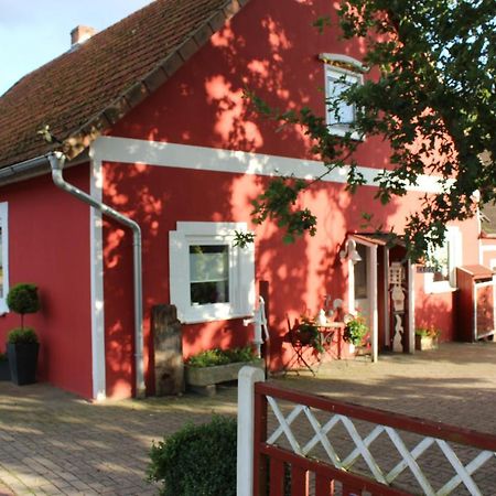 Ferienwohnung Zum Nordlicht Bassum Exterior foto